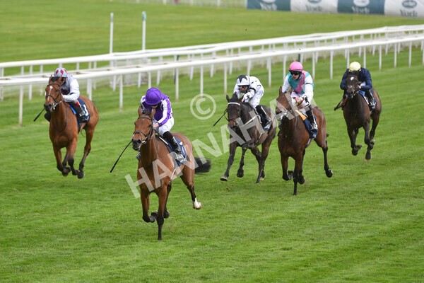 yr12052021r4-32 - Race 4 3.10pm Tattersalls Musidora Stakes