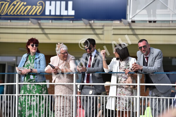 yr08072022r7-17 - Race 7 5.30pm Jigsaw Sports Branding Handicap