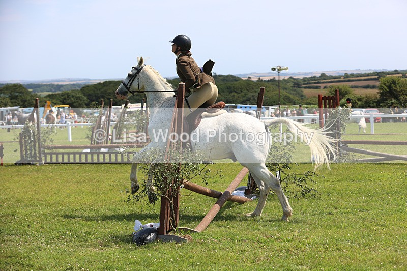 JPP_2681 - Class 21: Working Hunter 60cm