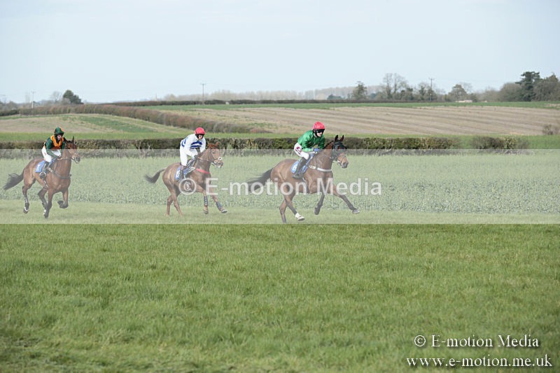 PtP 230319 333 - VWH Hunt Siddington Point-to-Point Racing 23/03/19