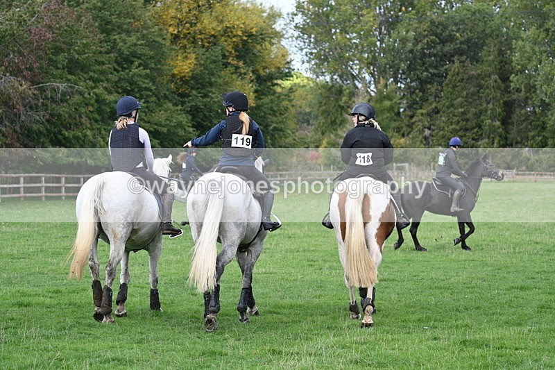 WJ7_8413 - Time 12:12 to 12:37