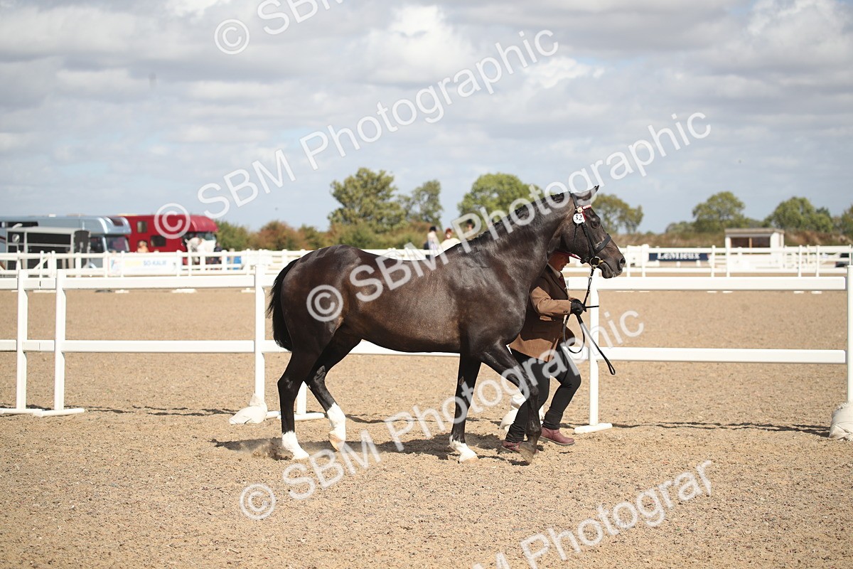 SBM_23422 - Class 604 - 2026 - Area IH Diamond
