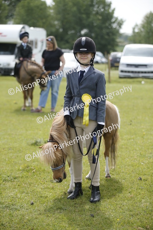 20260426-1961 - Class 8 - Prettiest Mare