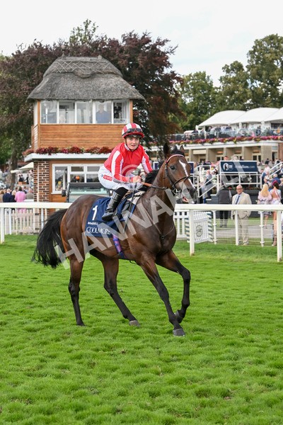 230824-Race 4-Bradsell-9518 - Race 4 3.35pm Coolmore Wootton Bassett Nunthorpe Stakes