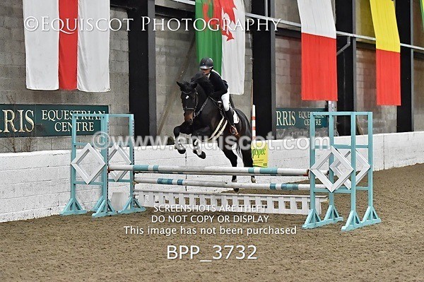 BPP_3732 - FRI CLASS 21 BR NOVICE/90CM