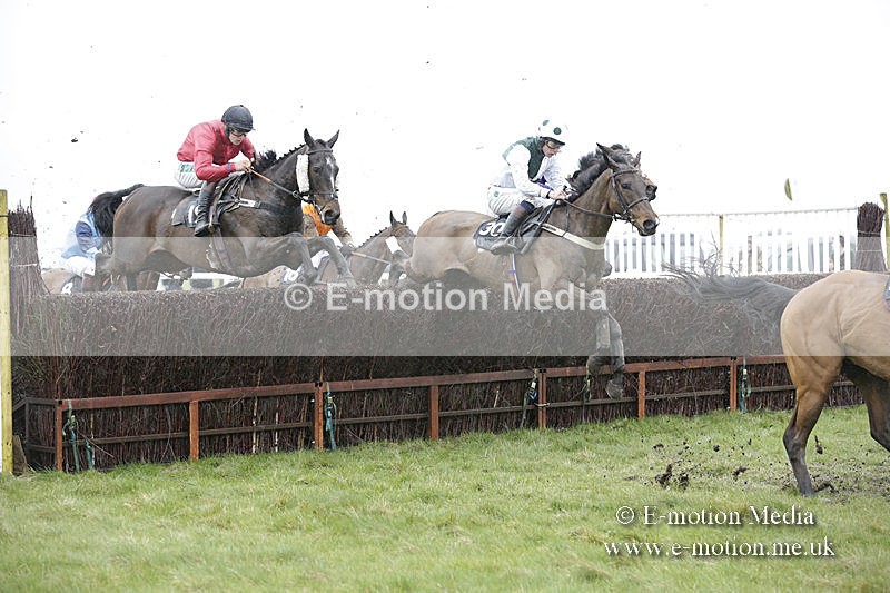 PtP 150320 0301 - New Forest Point-to-Point Larkhill 15/03/20