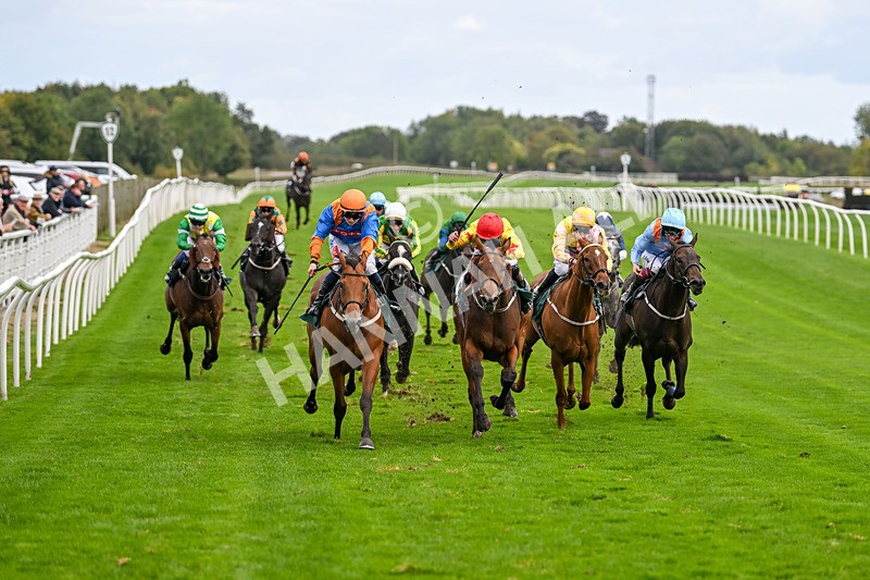 021024-Race 5-Homer Stokes-9525 - Race 5