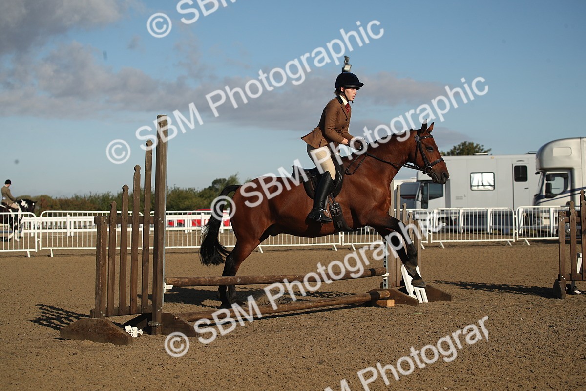 SBM_11574 - Class 502 - Riding Club Horse