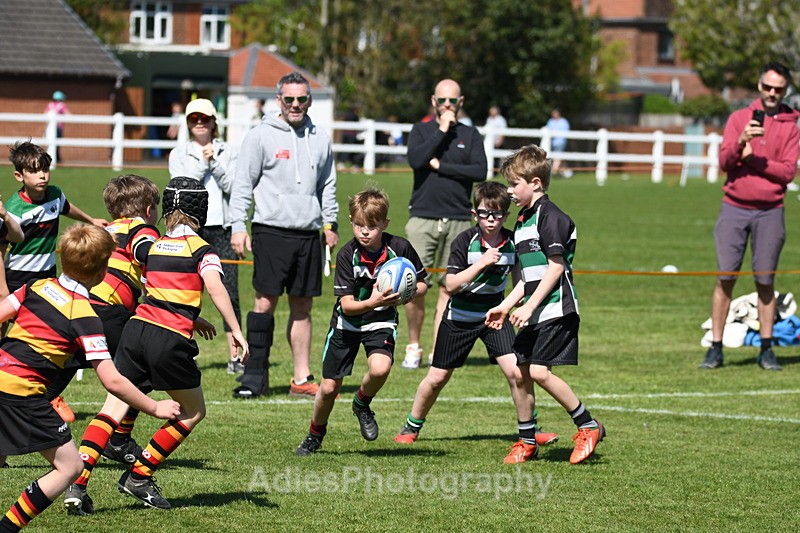  - Selby Rugby Festival 2025