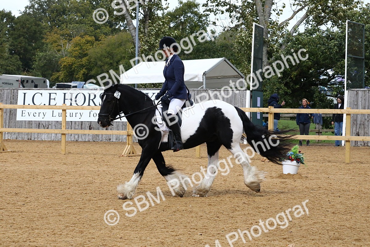 SBM_21014 - D5 - Small Tour Championshop Intro 2