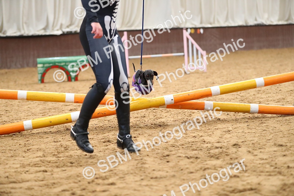 SBM_001265 - Class 3 - Horse & Hound