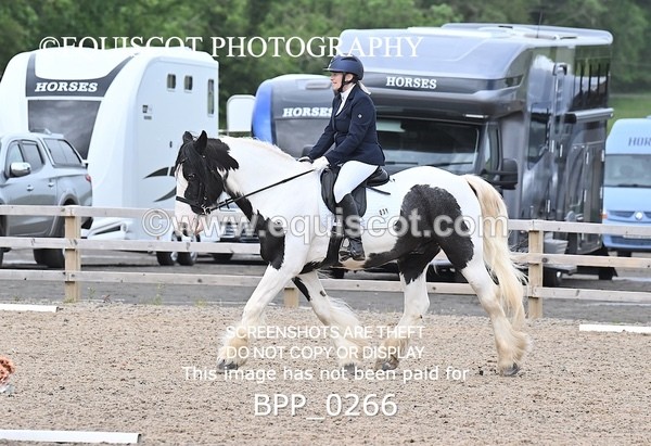 BPP_0266 - 31 E WYLLIE