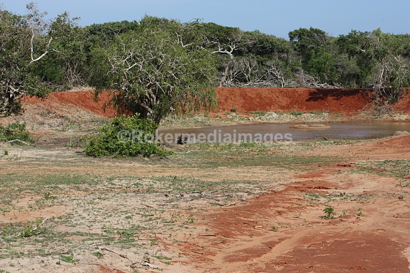  - Travel and culture