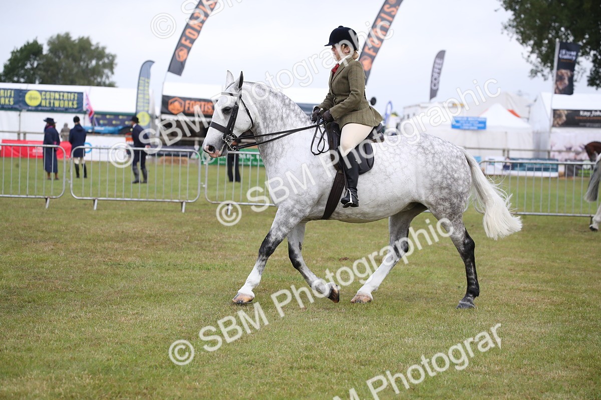 SBM_11083 - Class 92-93 - LIHS BSHA Rising Star Cobs