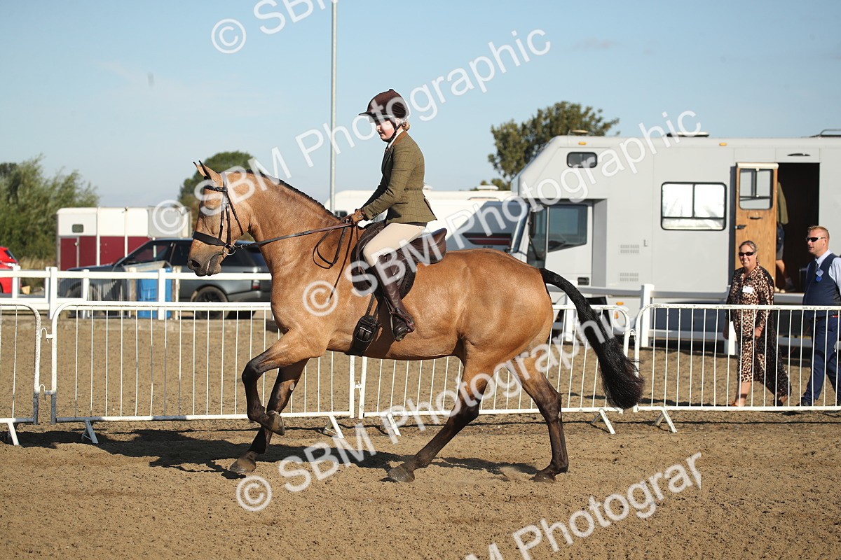 SBM_11321 - Class 501 -Riding Club Pony