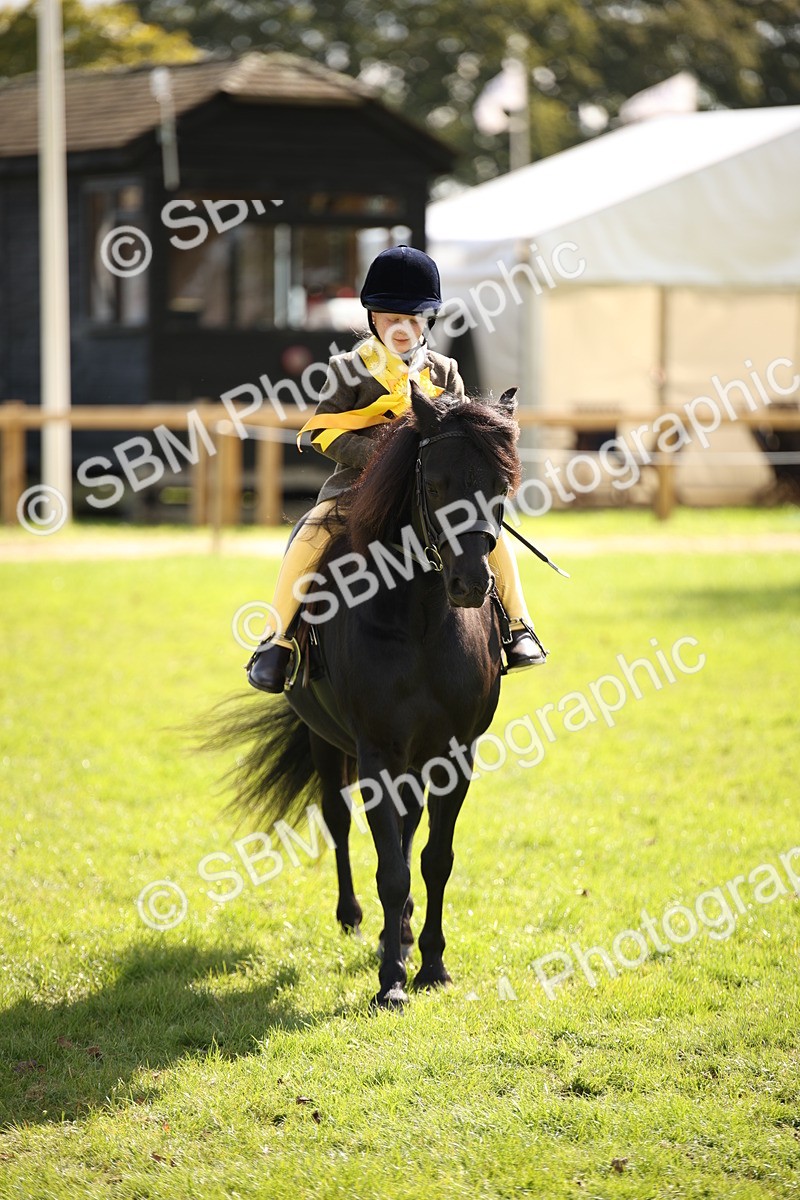 SBM_40901 - Fun Showing Supreme Championship