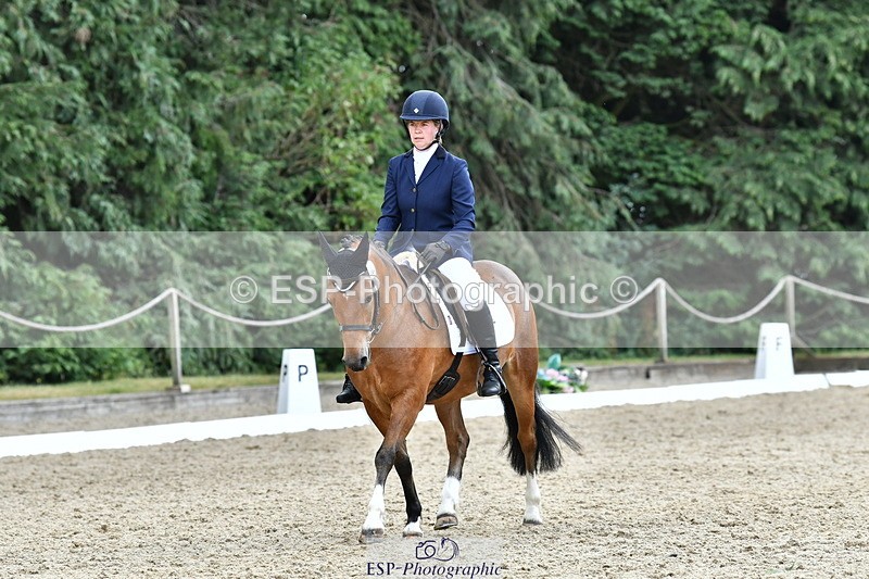 260801A-130049-04117 - Prelim Bronze Break - End