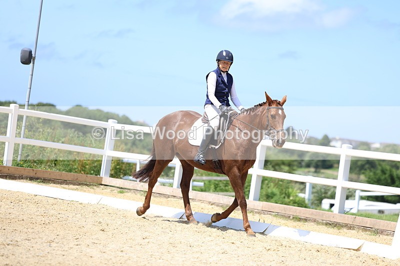 3E7A5597 - Class 7: Novice 3 2024 - Section B