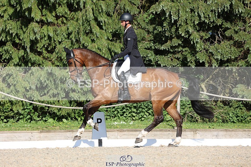 230526-174222-08016 - 180-GUEULE_DE_REVE-Arthur_Duffort-WEDTrotUp+DR