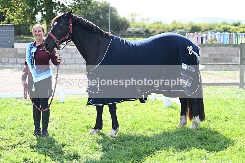 WJ7_1727 - 80cm Champs