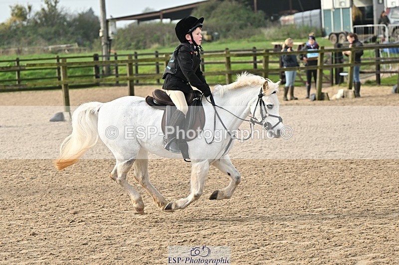241110-103408-00343 - 40cm Showjumping