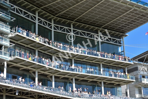 yr12062021r7-17 - Race 7 5.25pm Sky Bet Stakes