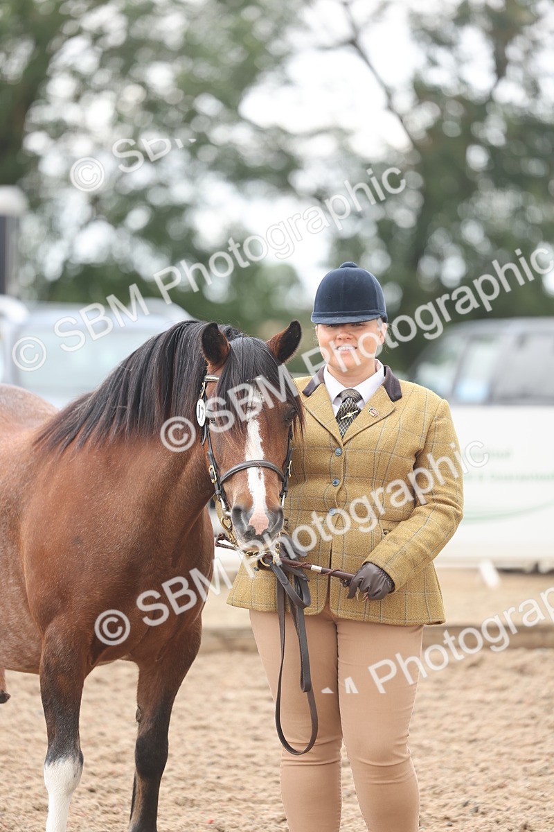 SBM_03236 - Class 16 - IH M&M Wildcard