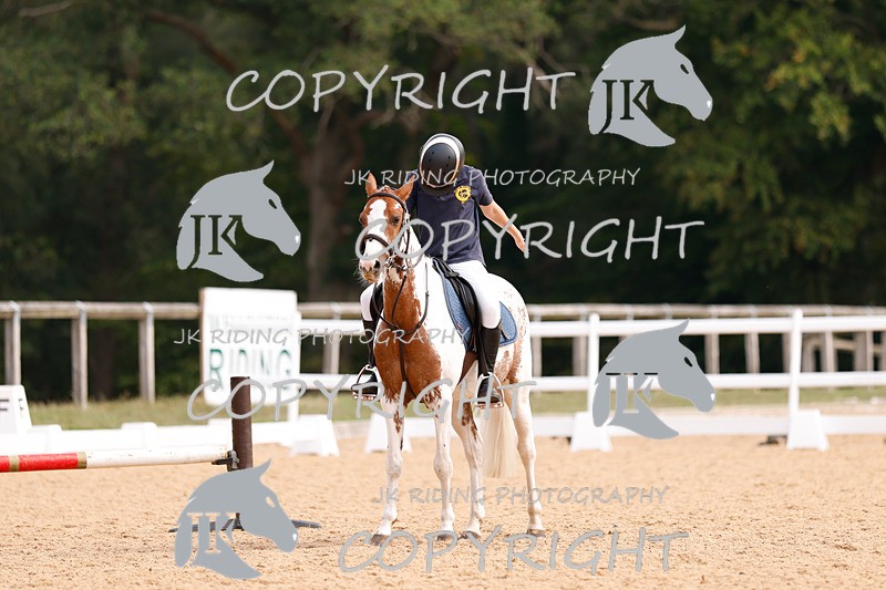 _R6A2648 - Dressage Morning