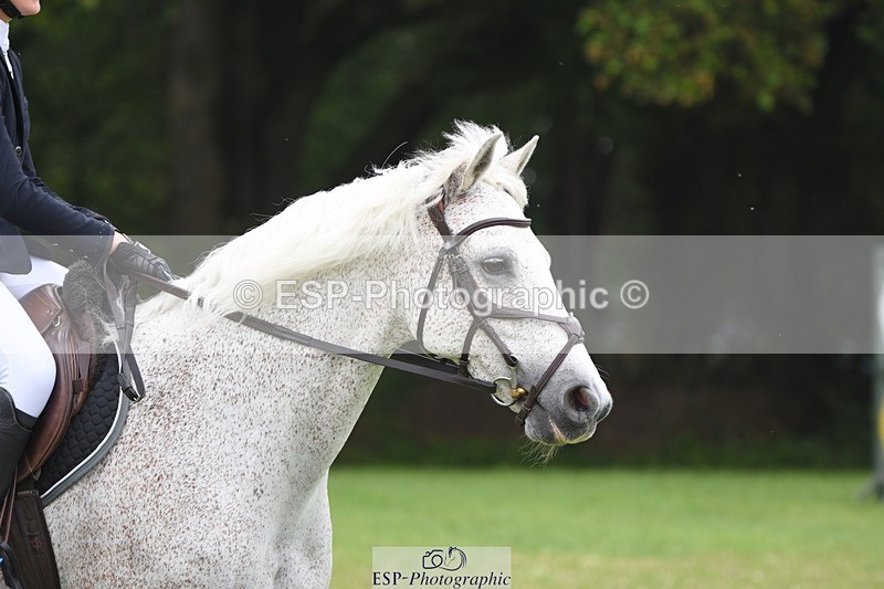 230618-105318-10580 - Cls 28 British Novice & 80cm Open