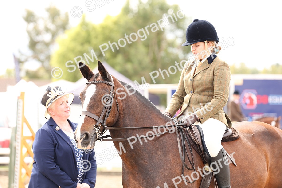 SBM_05133 - Class 56a -  Style & Performance - 50cm (15-19)