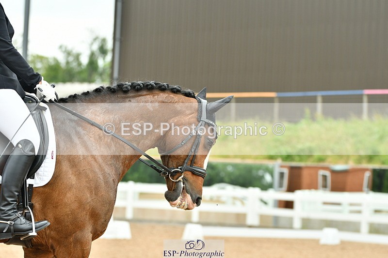 230701A-114710-05550 - Cls 7 Elementary 45