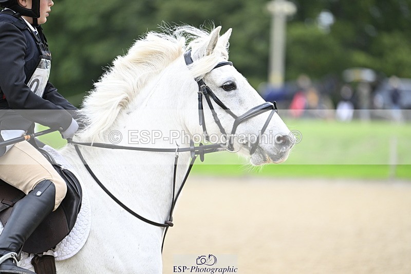 251005A-100224-03217 - Cls 03 GR 60cm