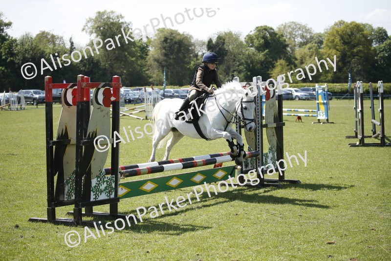 20250427-2339 - Class 13 - Novice Jumping 60cm