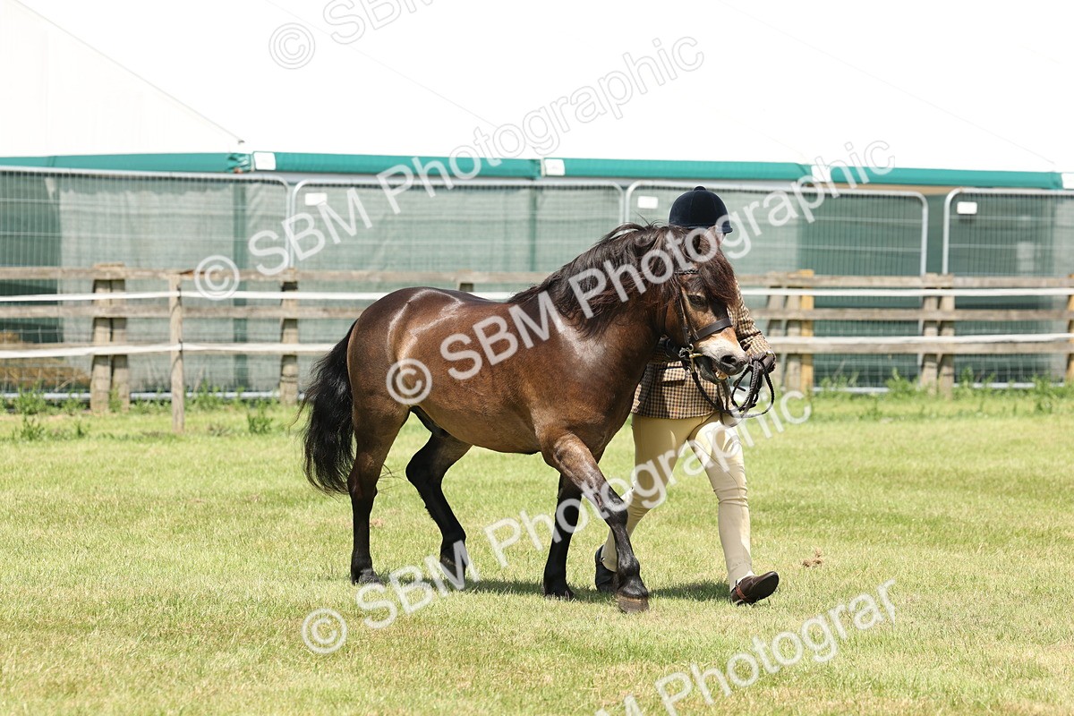 SBM_06859 - Class 26-30 - Mountain and Moorland Ridden