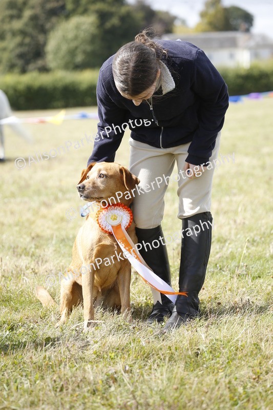20250831-3804 - Dog Show