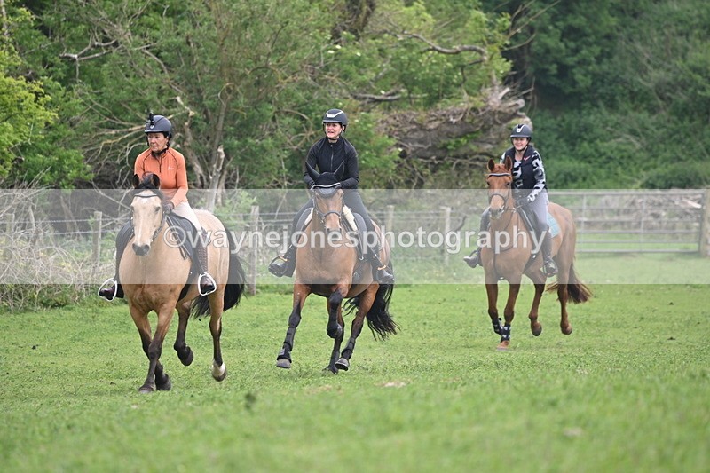 WJ6_2602 - A camera