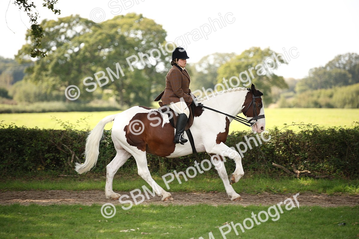 SBM_70086 - S65 - Piebald & Skewbald Horse Ridden