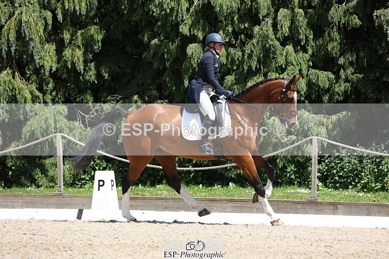 230526-141458-06486 - 372-INDYGO_BLUE-Jess_Butler-WEDTrotUp+DR