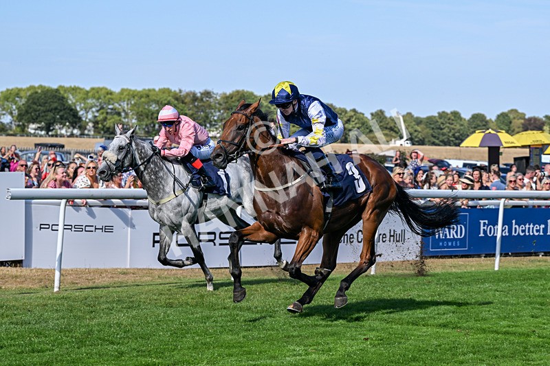 120826-Race 5-Ciao Capo-6976 - Race 5 16.15pm Cayenne Electric At Porsche Centre Hull Handicap
