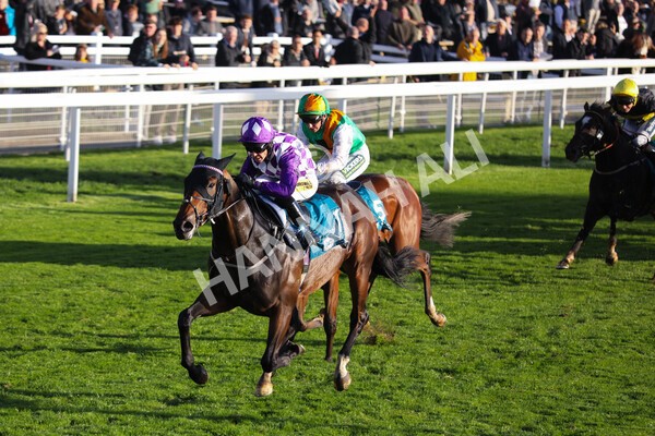 yr07102022r6-21 - Race 6 5.00pm William Hill Lengthen Your Odds EBF Novice Stakes