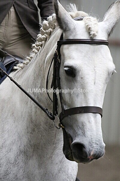 SIAL5149 - CAbin Dressage 5th july 2025