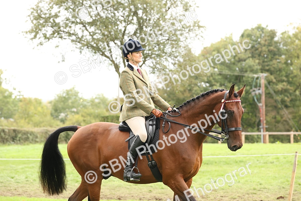 SBM_64142 - S65 - Riding Horse & Hack & Thoroughbred Ridden