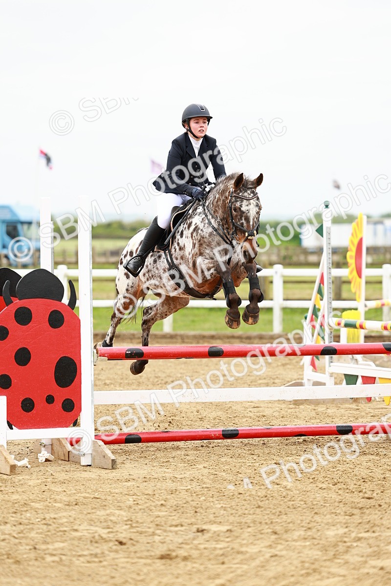SBM_000342 - Class 2 - Senior British Novice - 90cm