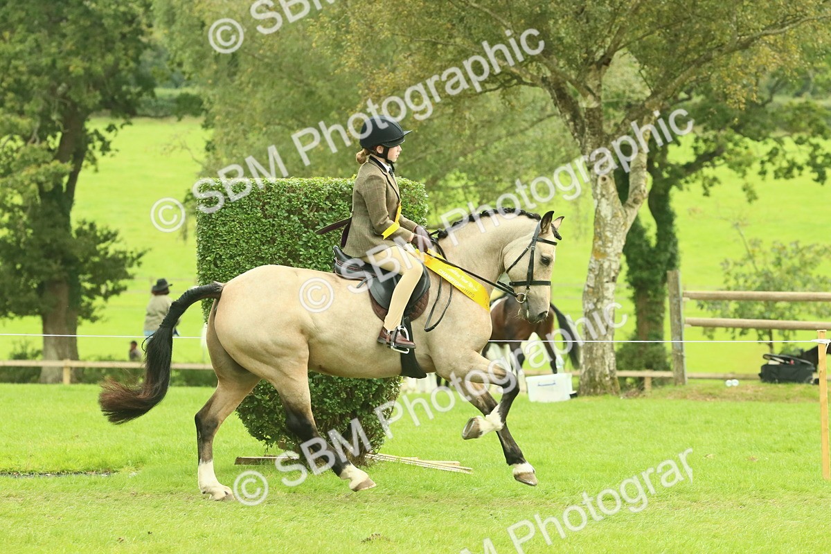 SBM_75021 - Ridden Pony Supreme Championship