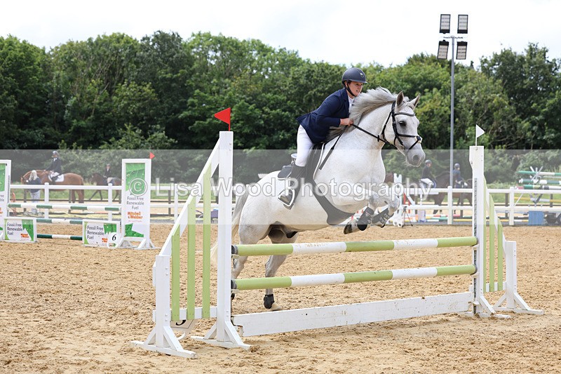 3E7A0106 - Class 9: Senior British Novice/90cm open