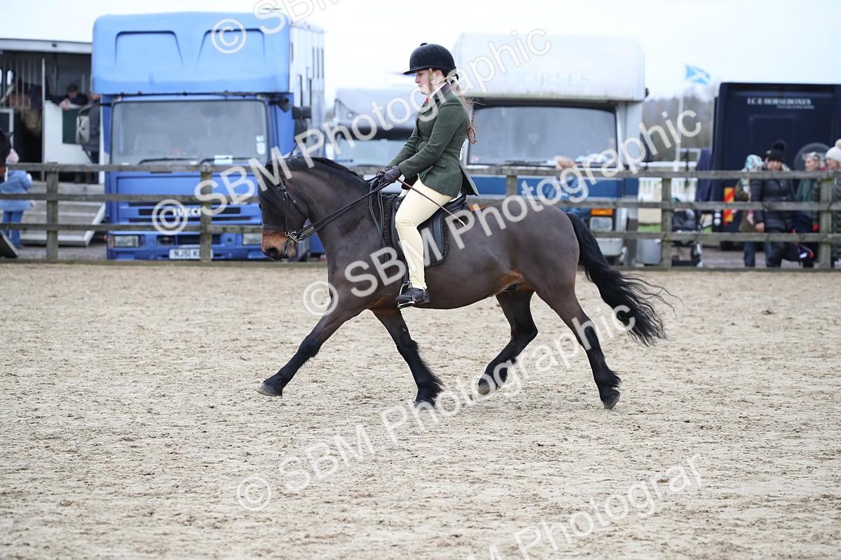 SBM_006377 - Class 10-13 - RIHS Small Large Breeds