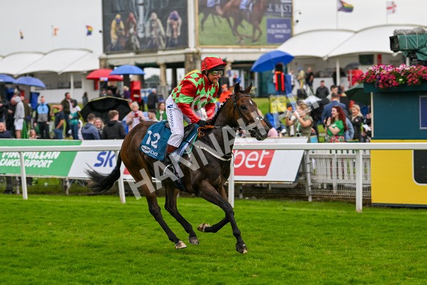 150624-F-Macmillan Ride Of Their Lives-6304 - 12.30pm Macmillan Ride of Their Lives