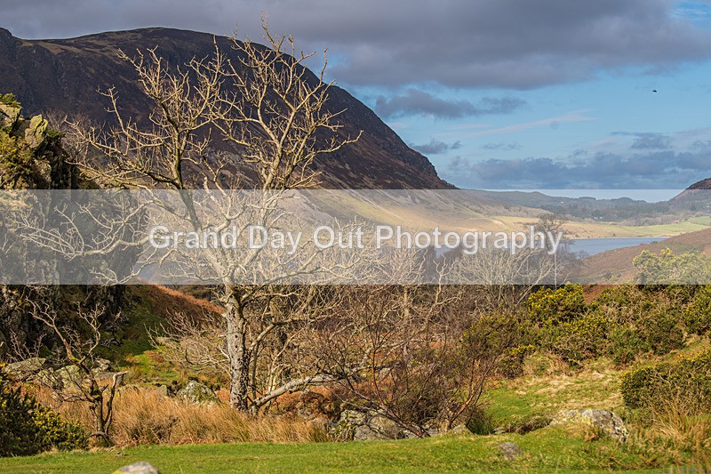 Buttermere-1 - High Terrain Events Buttermere Trail Run Sunday 26th March 2023