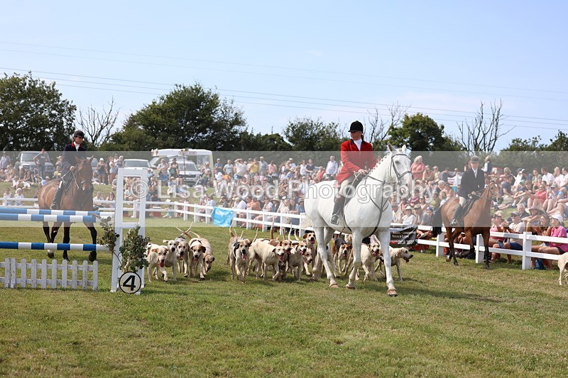 3E7A0137 - Parade of Hounds