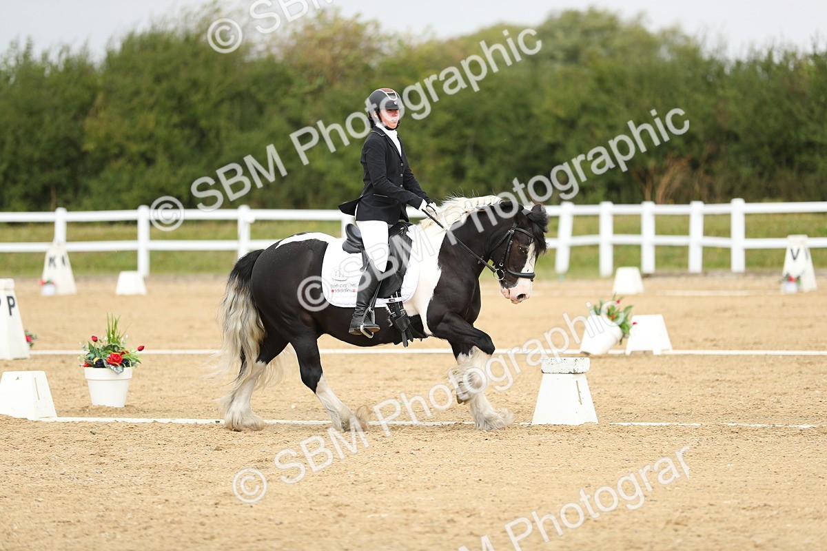 SBM_016452 - Class 13 - Novice 23 - 11.25-12.35